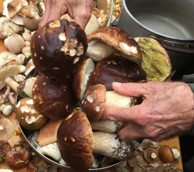 Les Monts de Boveresse – Chalet des Amis de la Montagne