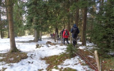 A travers le Communal de La Sagne