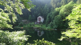 Le Bois de la Biche (F)