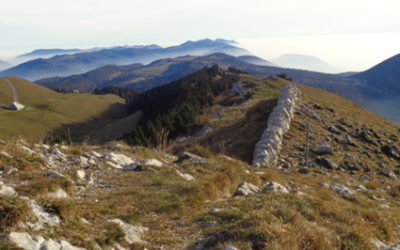 La Petite Douane – Chasseral