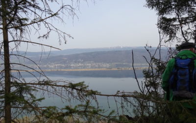 Rive sud du lac de Bienne