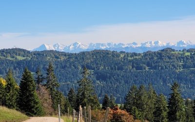 Le Locle  –  Les Ponts-de-Martel