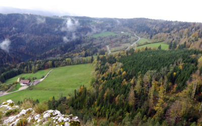 Le Bois de la Biche (France)