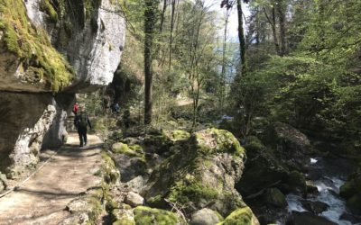 Macolin – Les Gorges de Douanne