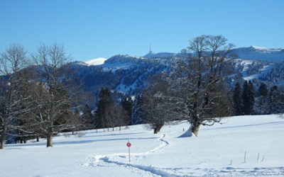 Les Savagnières-Le bec à l’oiseau