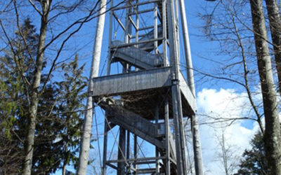 La Tour de Frienisberg