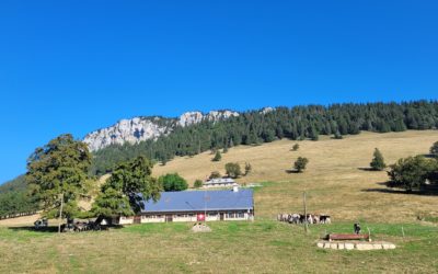 Les Aiguilles de Baulmes