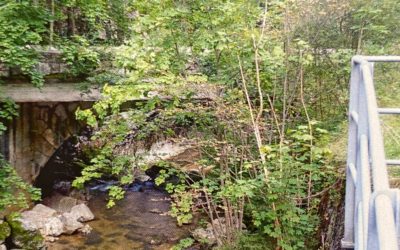 Gorges de Court – Mont Girod