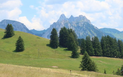 Monts Chevreuils