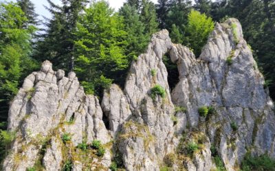 Le Grand Taureau