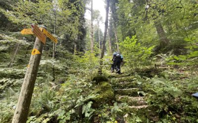 Autour des Joux-Derrière – La Roche Plate