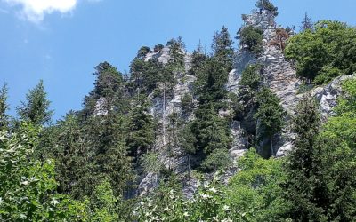 Les Aiguilles de Baulmes