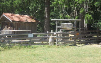 Le Russey (France)